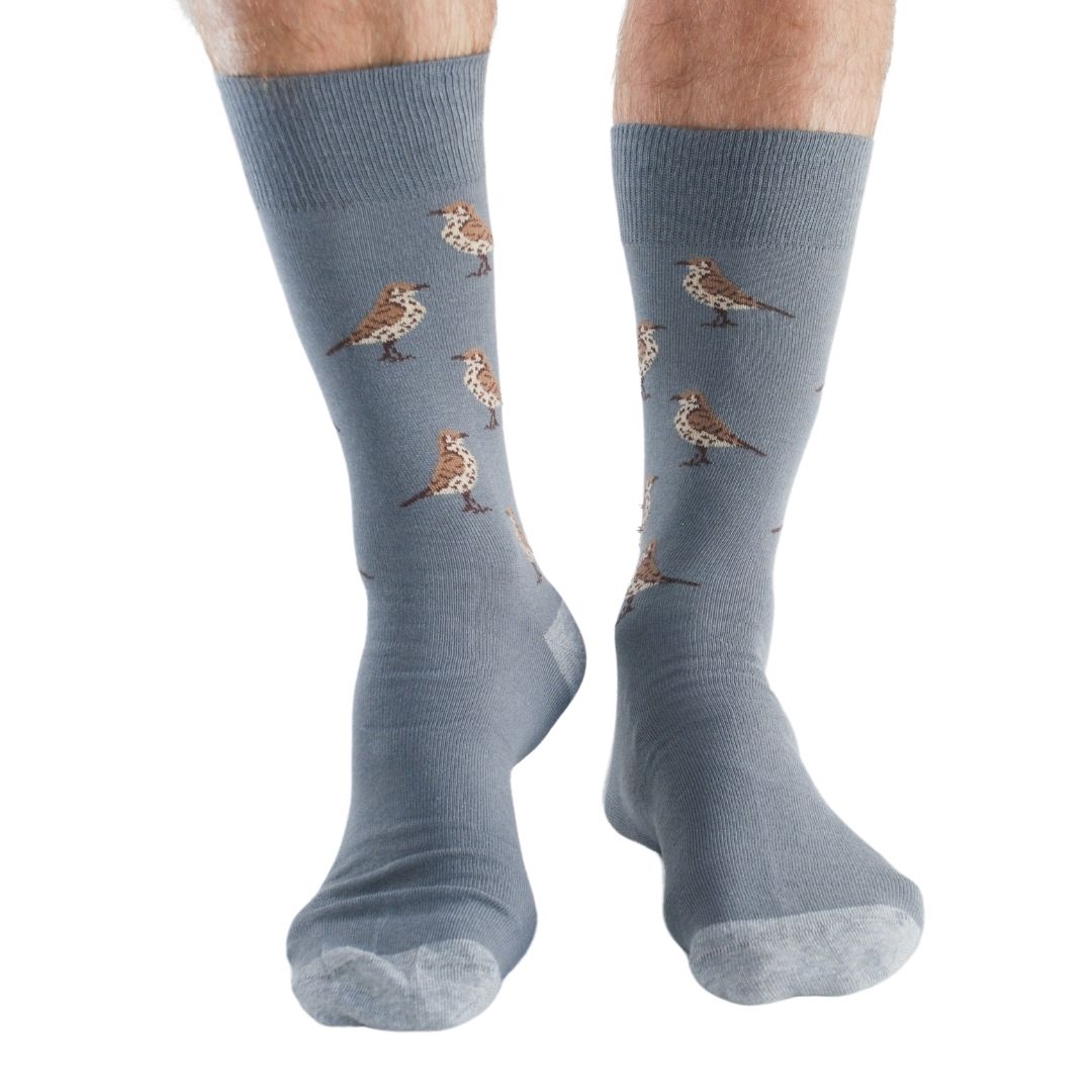 Garden Birds 4 pairs Bamboo Socks