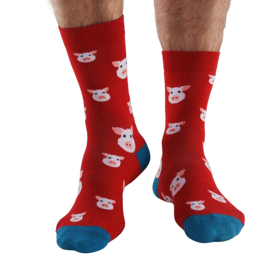 Pigs 3 pairs Bamboo Socks