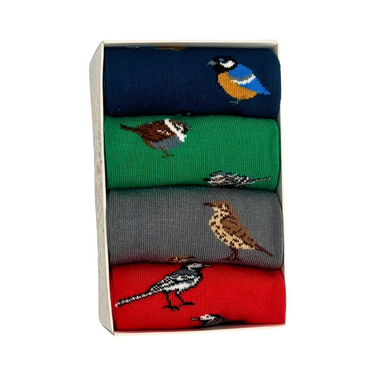 Garden Birds 4 pairs Bamboo Socks