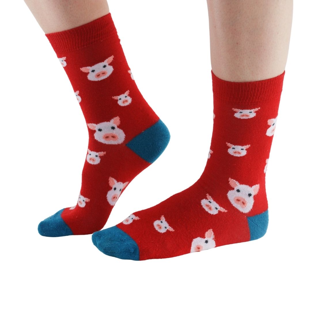 Pigs 3 pairs Bamboo Socks