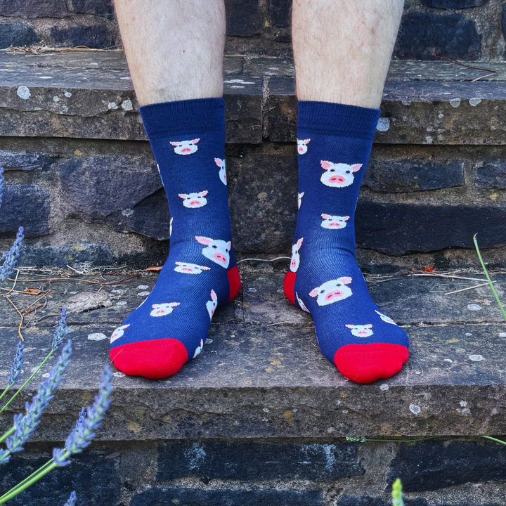 Pigs Bamboo Socks